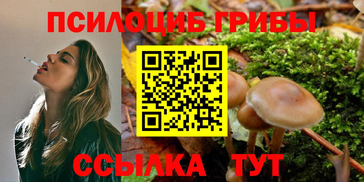 Псилоцибиновые грибы GOLDEN TEACHER Калуга