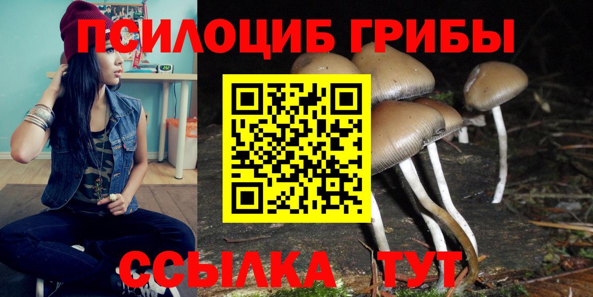 Галлюциногенные грибы Psilocybe  Вход с VPN  Калуга 